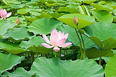 《灵魂面甲》反向跳票 5月31日EA发售